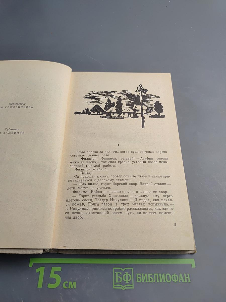 Пробуждение