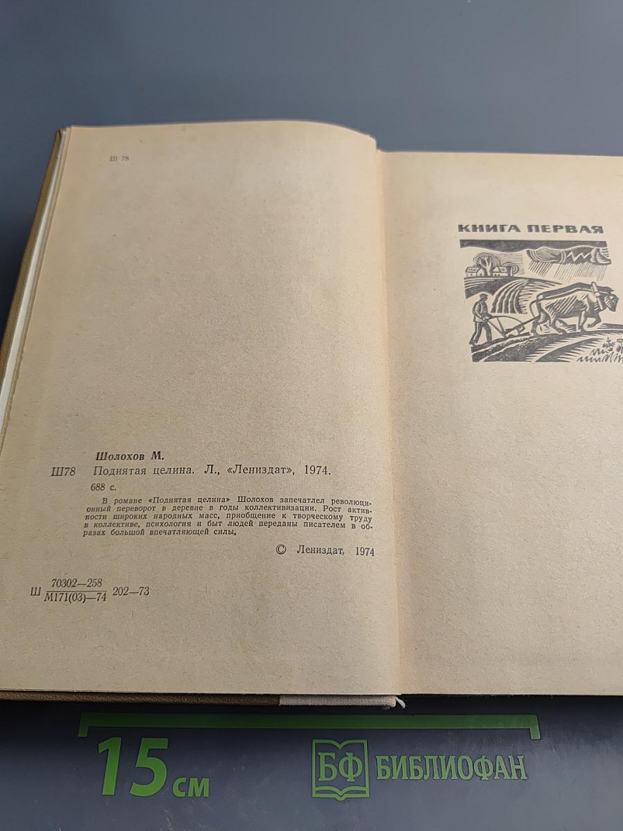 Поднятая целина (Роман в двух книгах)