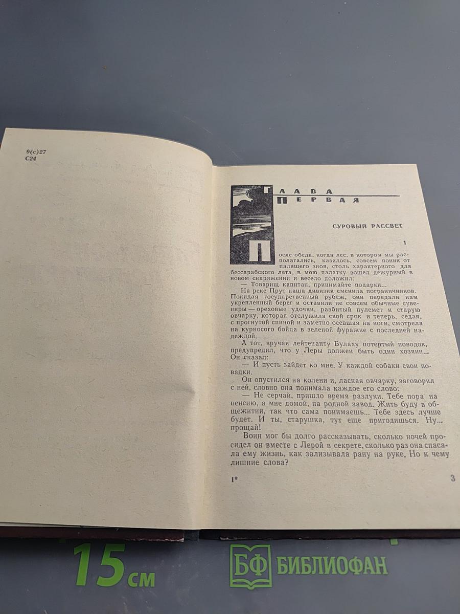 Батальоны вступают в бой