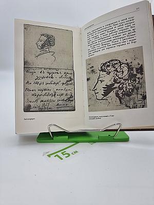 Рисунки Пушкина