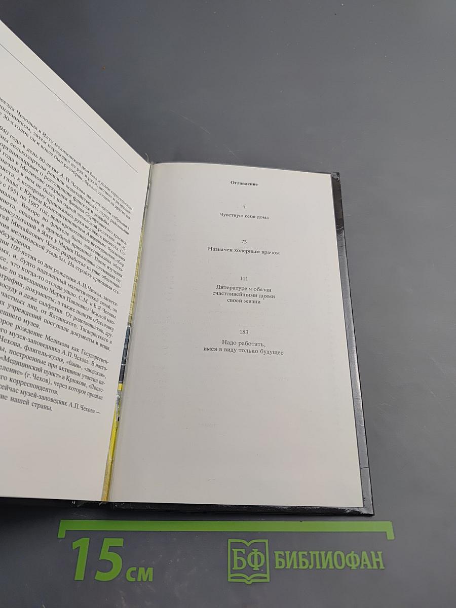 Течение Мелиховской Жизни