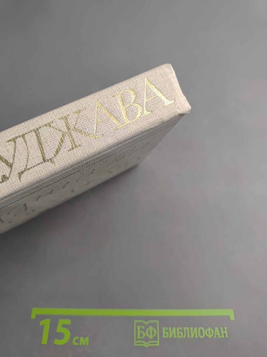 Булат Окуджава. Избранные произведения в двух томах. Том второй. Похождения Шипова, или Старинный водевиль. Автобиографические повествования