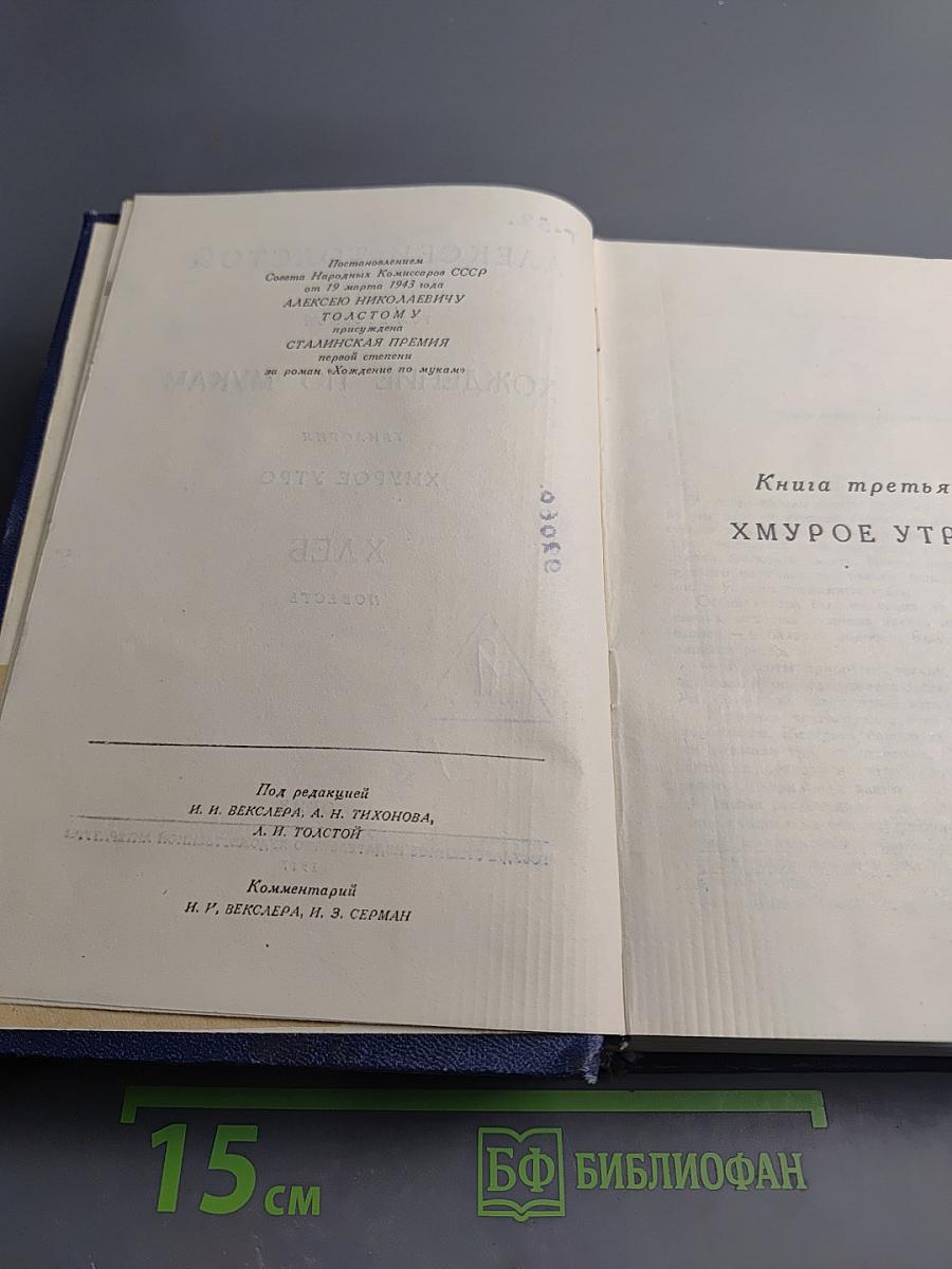 Хождение по мукам. Хмурое утро. Хлеб