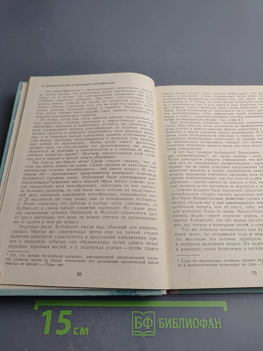 Морские млекопитающие и человек