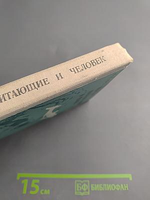 Морские млекопитающие и человек