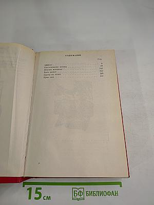 Криминальная любовь