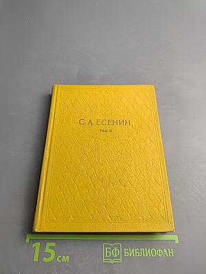 Собрание сочинений. Том II. Стихотворения (1912-1925)