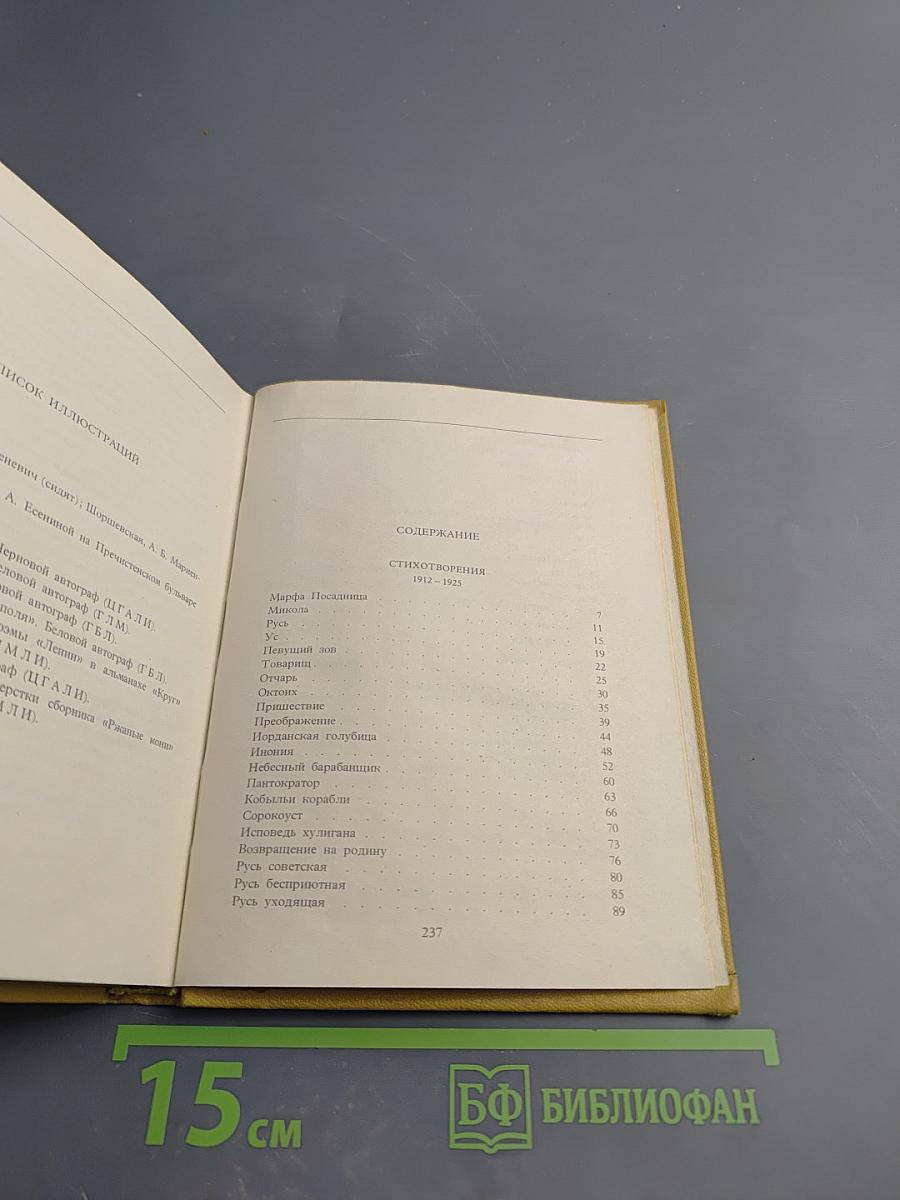 Собрание сочинений. Том II. Стихотворения (1912-1925)