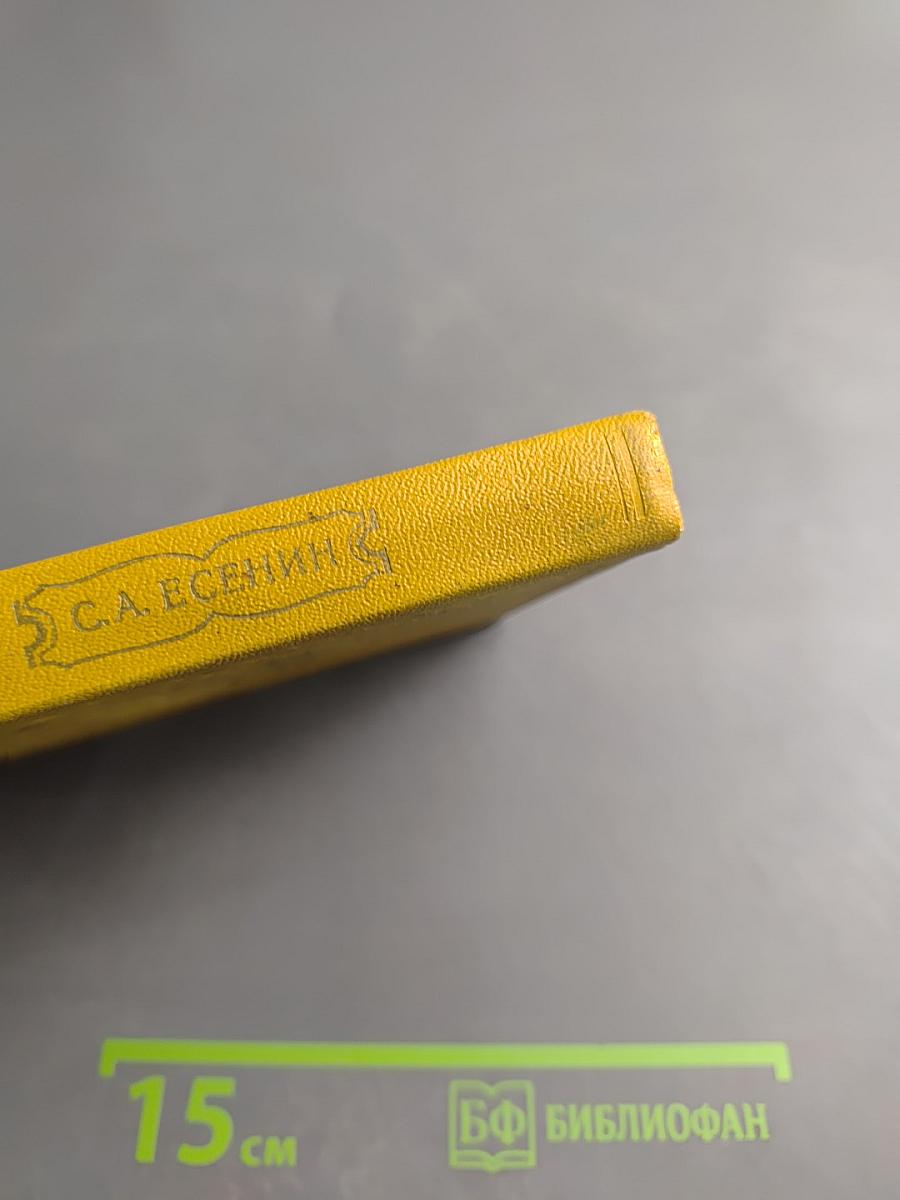 Собрание сочинений. Том II. Стихотворения (1912-1925)