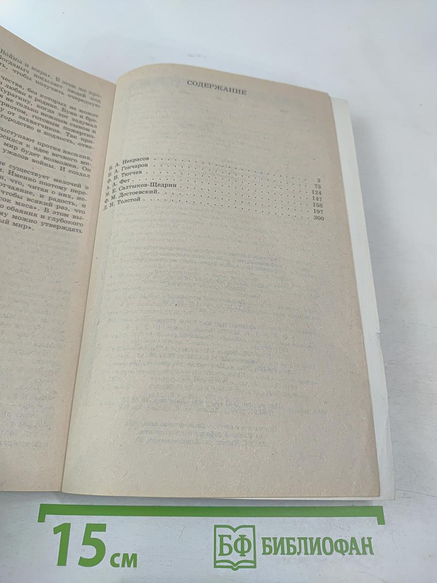 1000 лучших школьных сочинений. Школьникам и абитуриентам. Литература второй половины XIX века