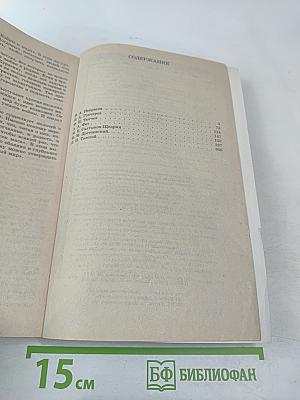 1000 лучших школьных сочинений. Школьникам и абитуриентам. Литература второй половины XIX века