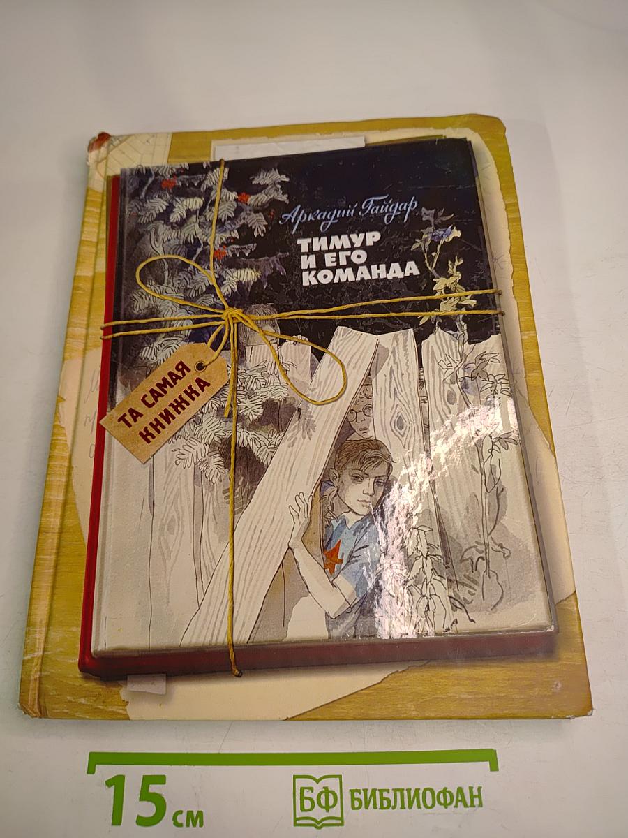 Тимур и его команда