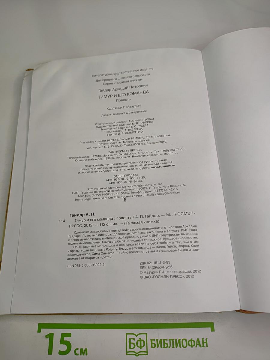 Тимур и его команда