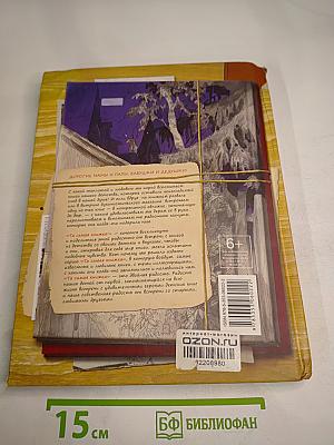 Тимур и его команда