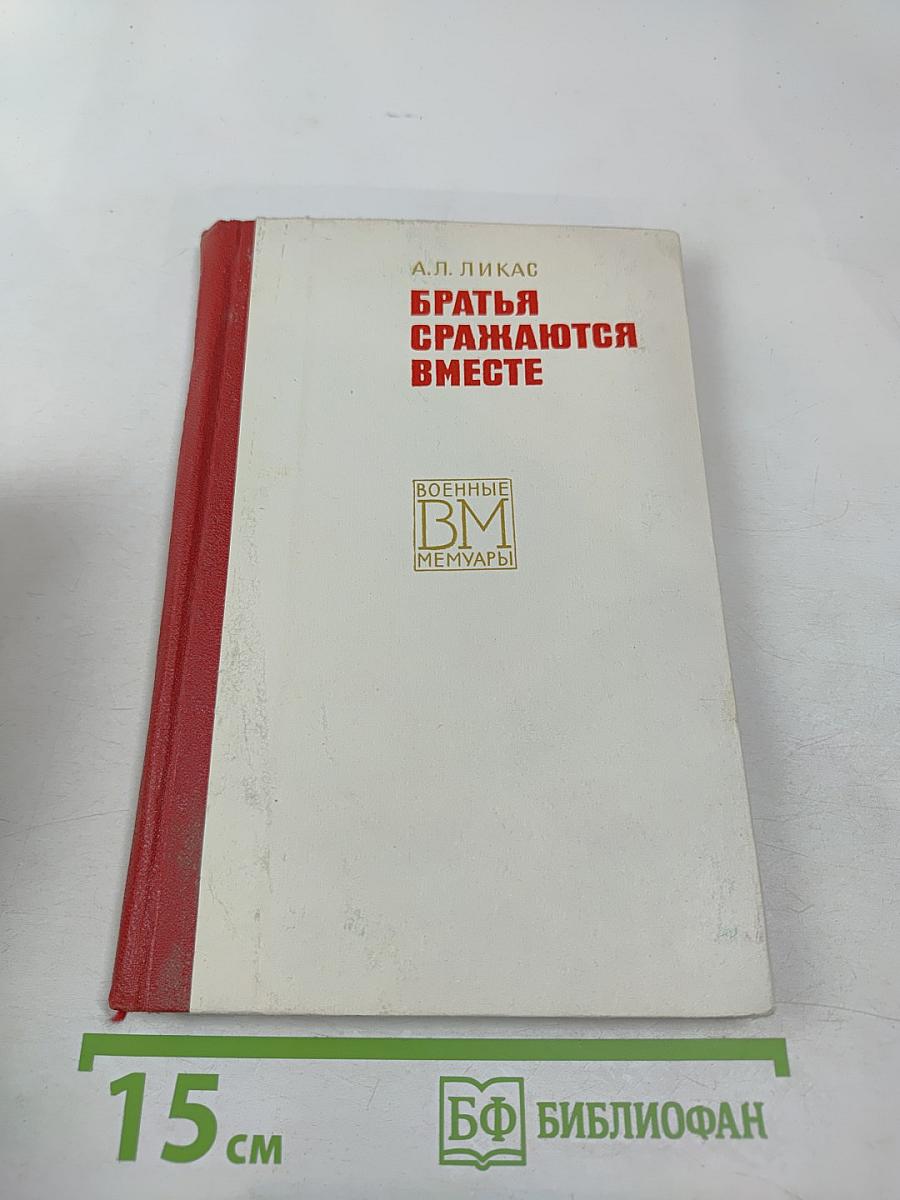 Братья сражаются вместе