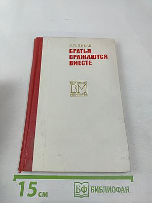 Братья сражаются вместе