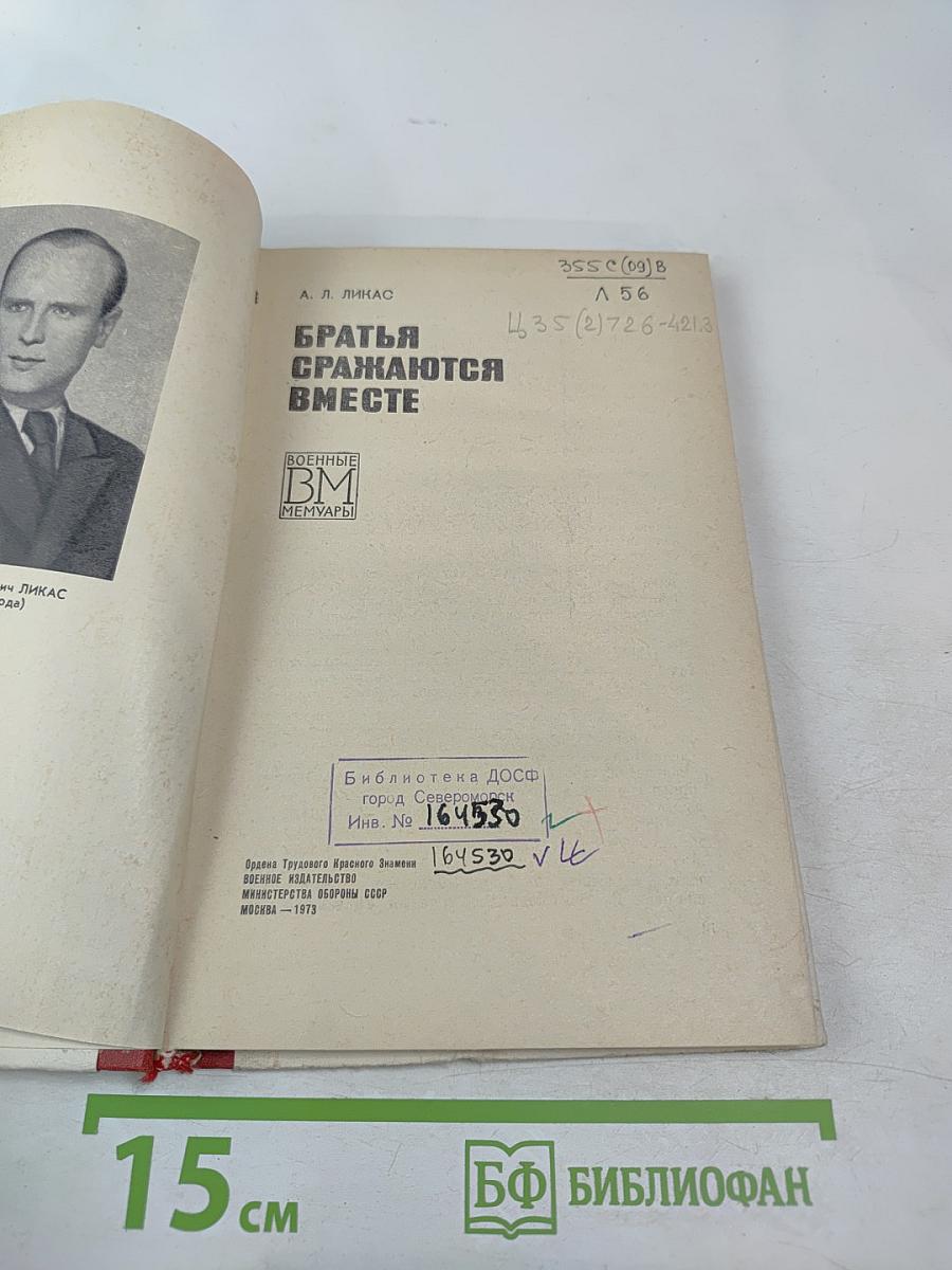 Братья сражаются вместе