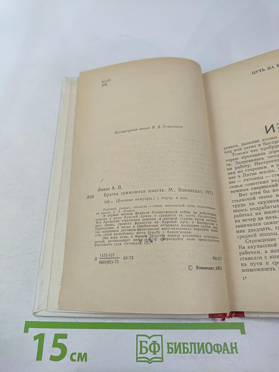 Братья сражаются вместе