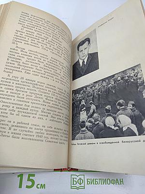 Братья сражаются вместе