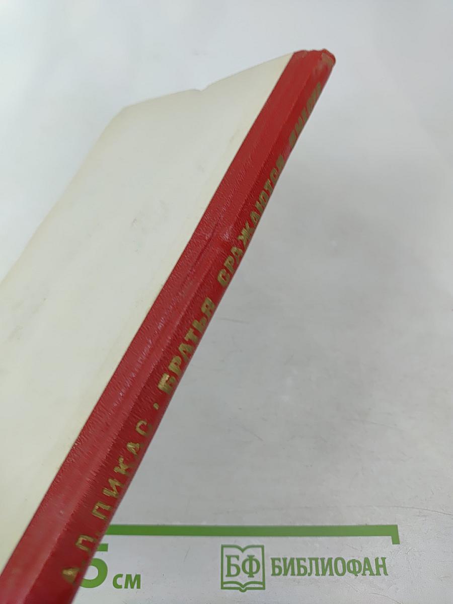 Братья сражаются вместе