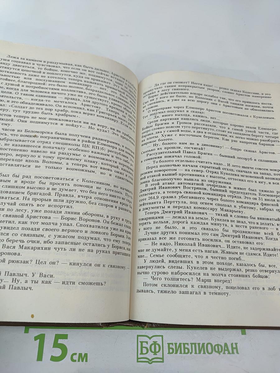 За чертой милосердия. Партизанская музыка