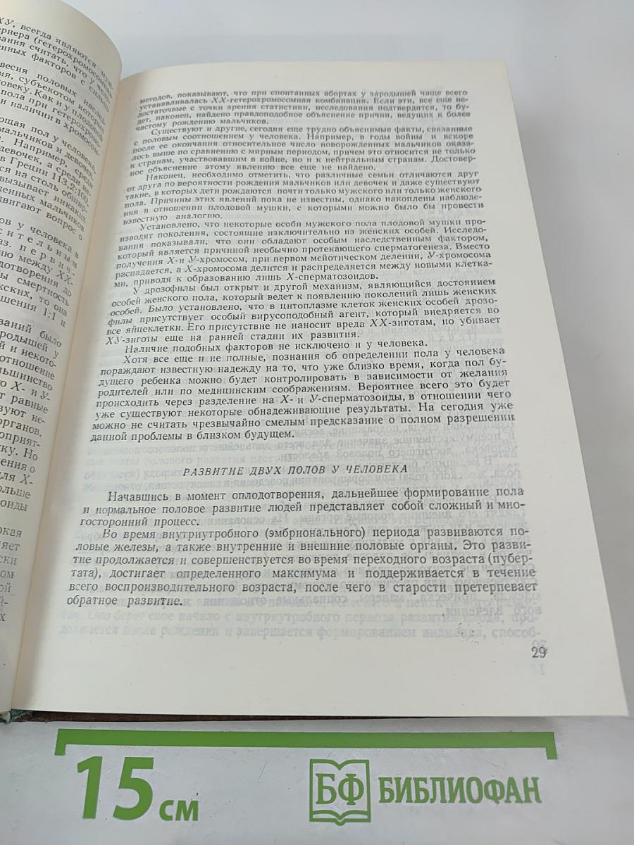 Пол, Брак, Семья