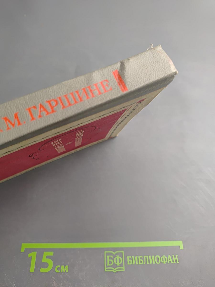 Современники о В. М. Гаршине. Воспоминания