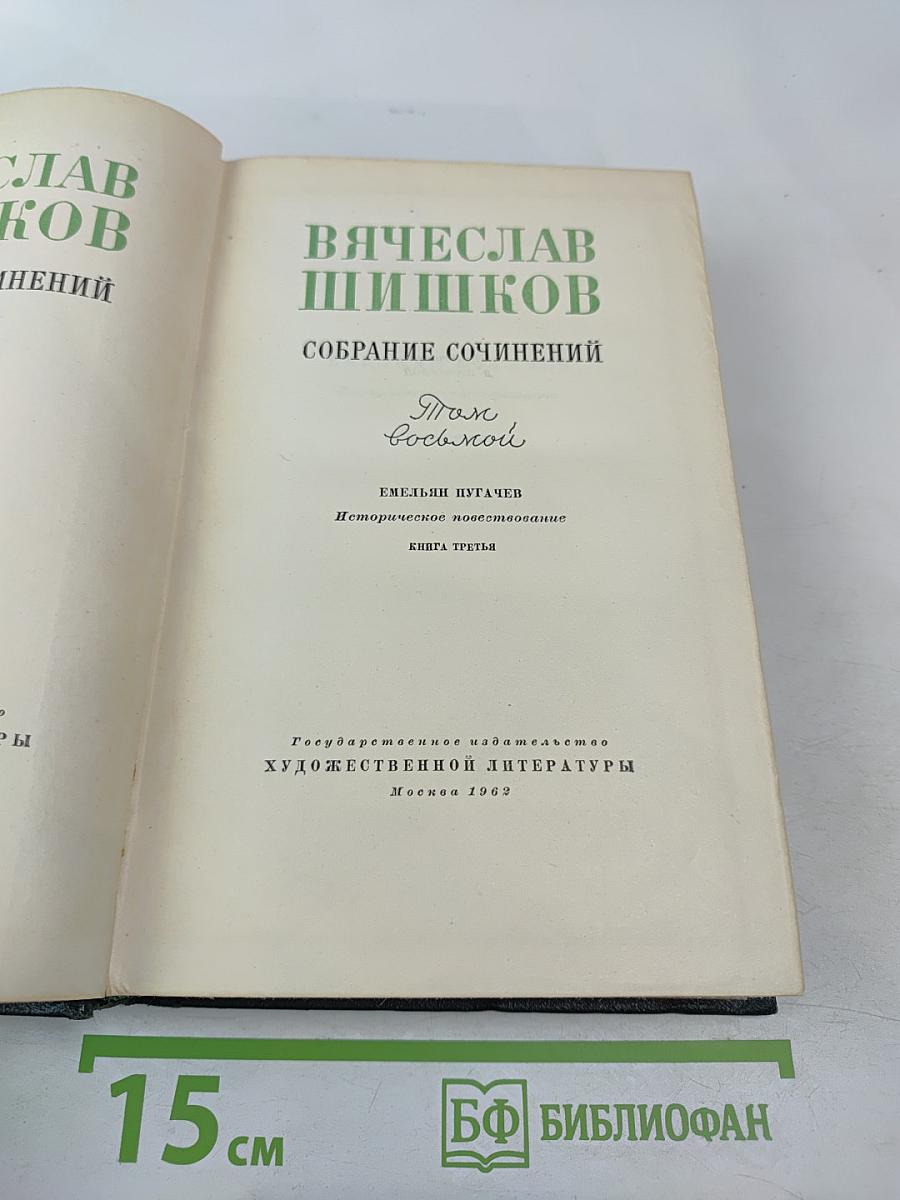 Собрание сочинений, Том 8: Емельян Пугачев. Книга третья