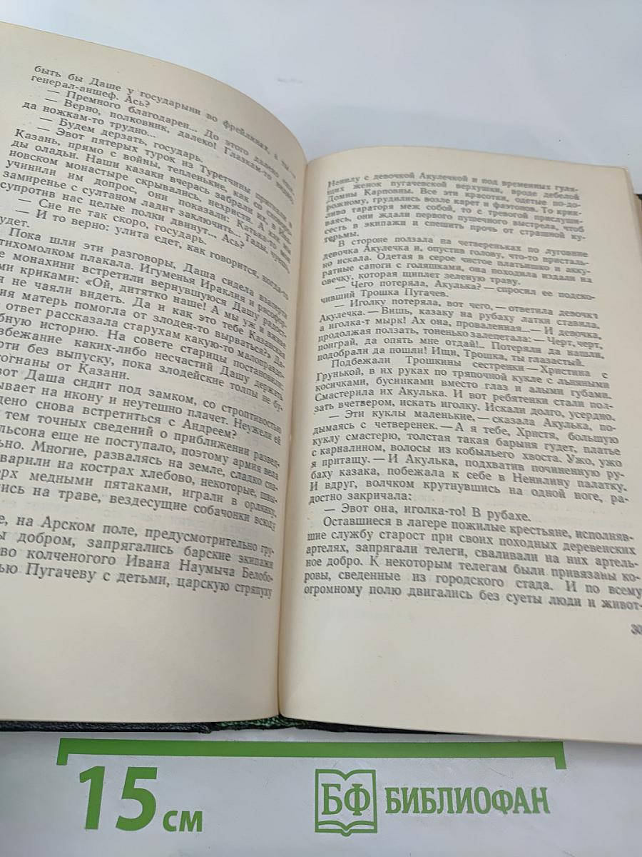 Собрание сочинений, Том 8: Емельян Пугачев. Книга третья