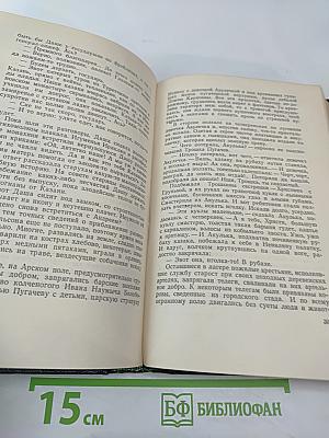 Собрание сочинений, Том 8: Емельян Пугачев. Книга третья