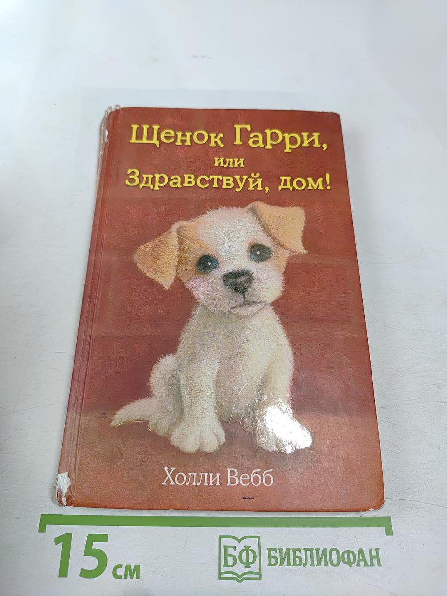 Щенок Гарри, или Здравствуй, дом!