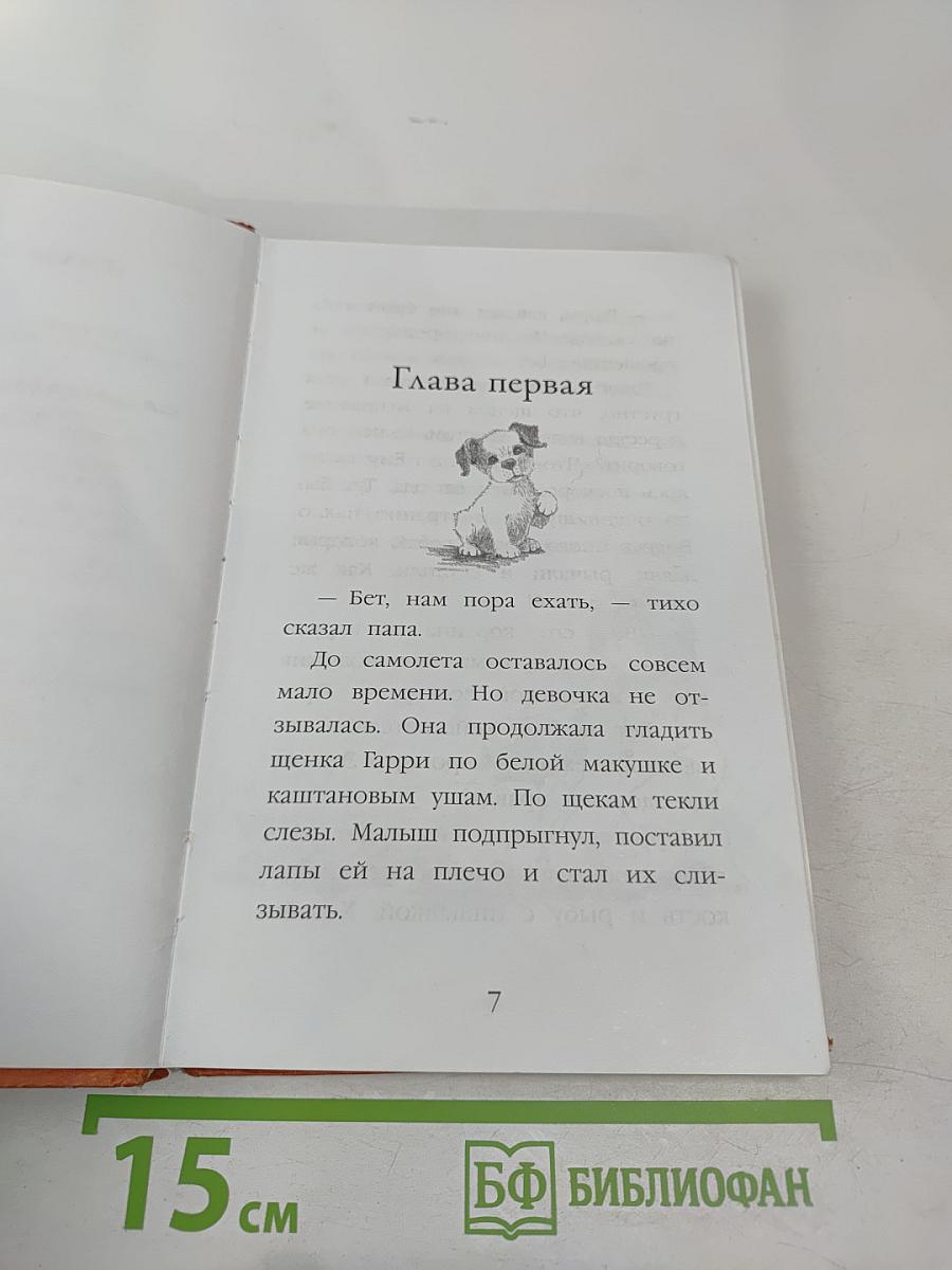 Щенок Гарри, или Здравствуй, дом!