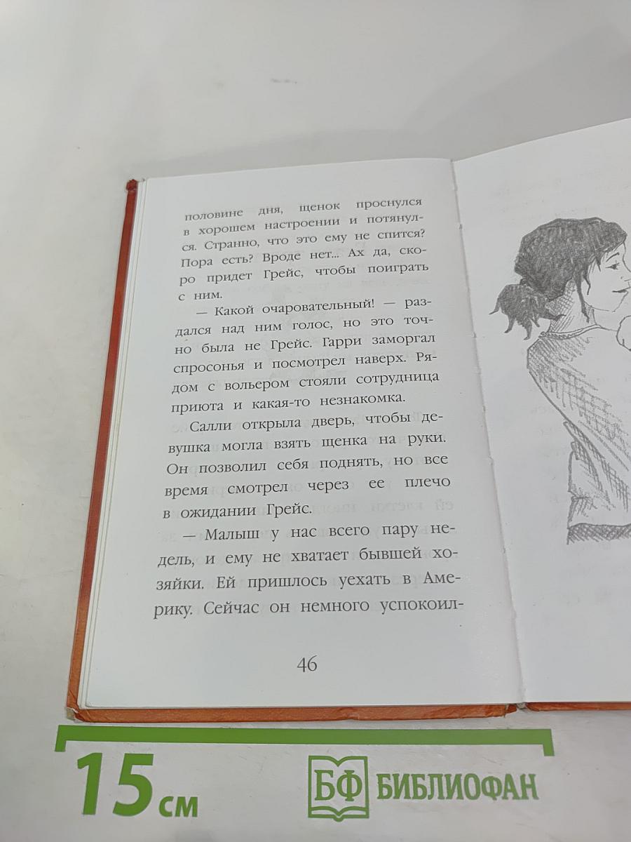 Щенок Гарри, или Здравствуй, дом!