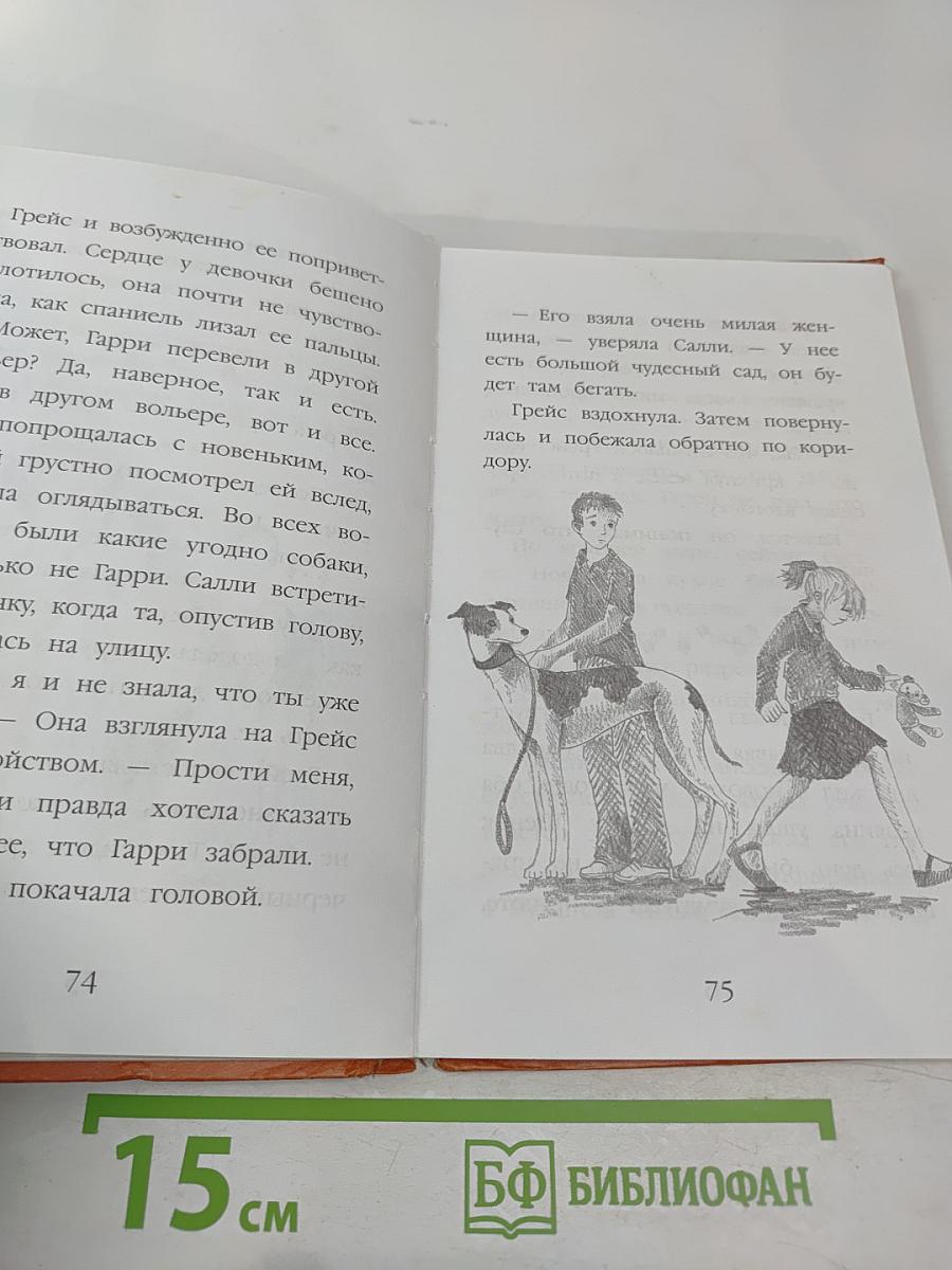 Щенок Гарри, или Здравствуй, дом!