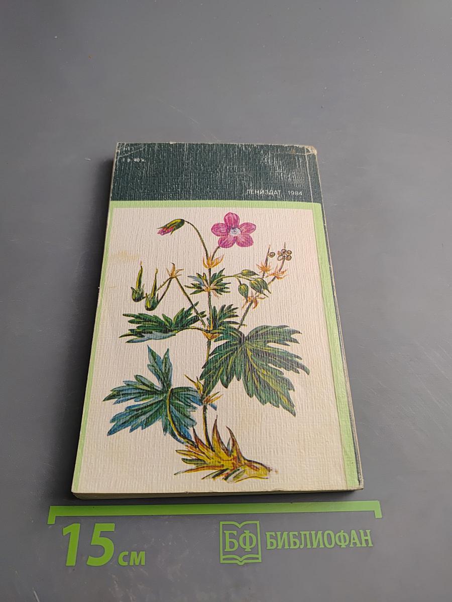 Зеленая аптека