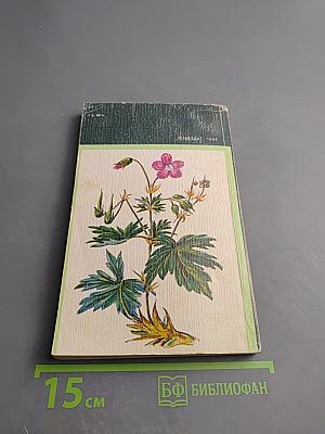 Зеленая аптека