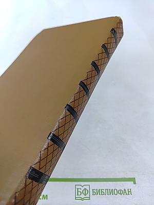 Собрание сочинений. Том восьмой: История Петра I. Записки бригадира Моро-де-Бразе