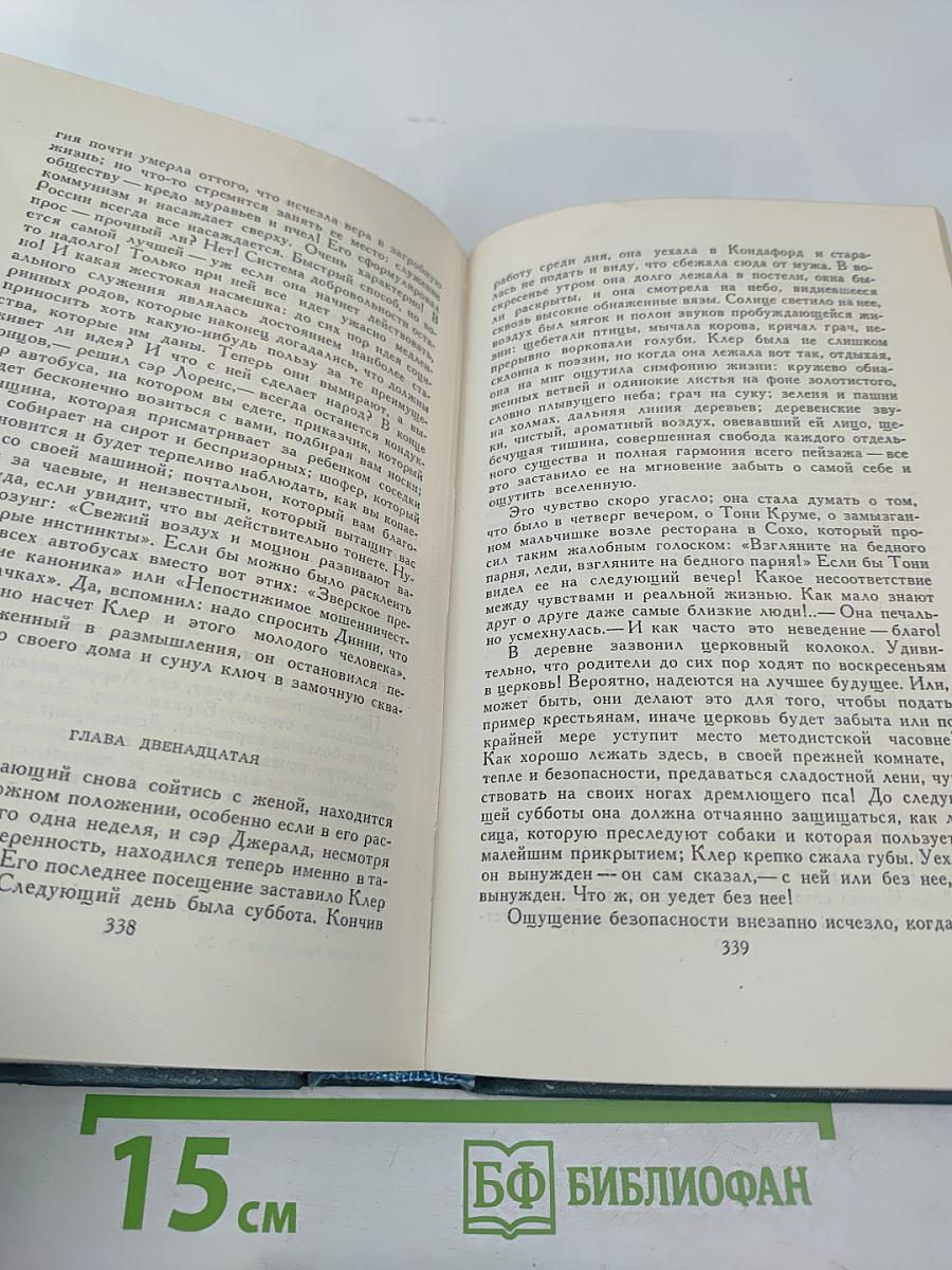 Пустыня в цвету. Книга вторая (Том 10)