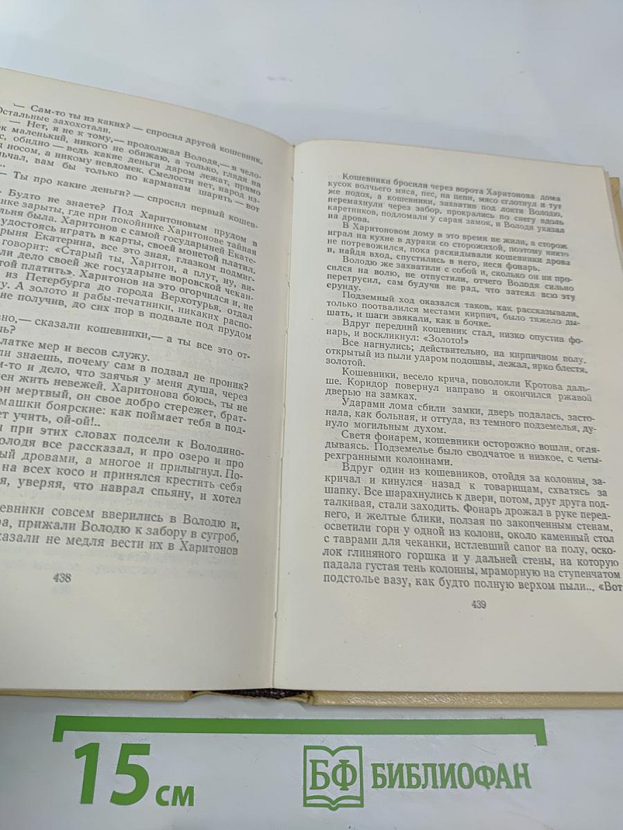 Собрание сочинений. Том первый: Повести и рассказы 1908-1911, Чудаки. Роман