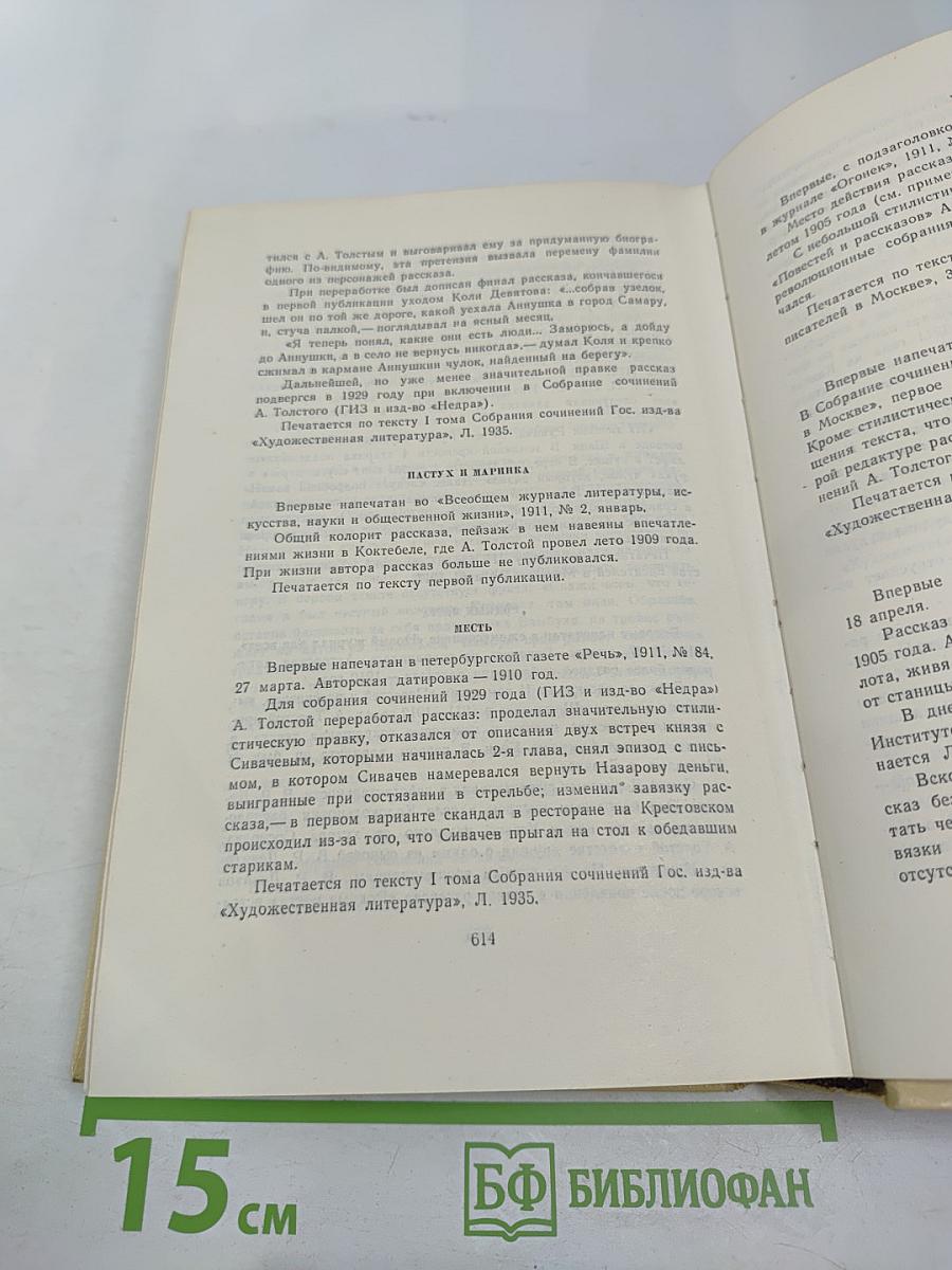 Собрание сочинений. Том первый: Повести и рассказы 1908-1911, Чудаки. Роман