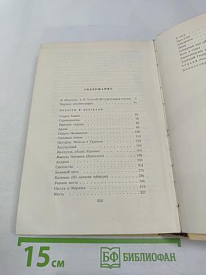 Собрание сочинений. Том первый: Повести и рассказы 1908-1911, Чудаки. Роман