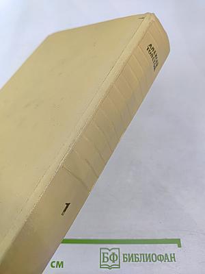 Собрание сочинений. Том первый: Повести и рассказы 1908-1911, Чудаки. Роман