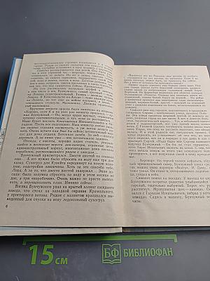 Капитан флагмана