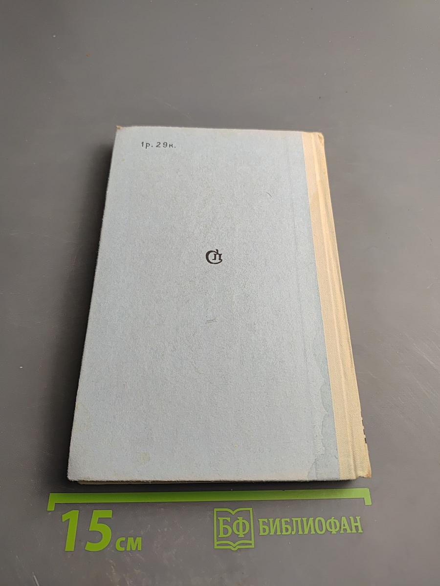 Капитан флагмана