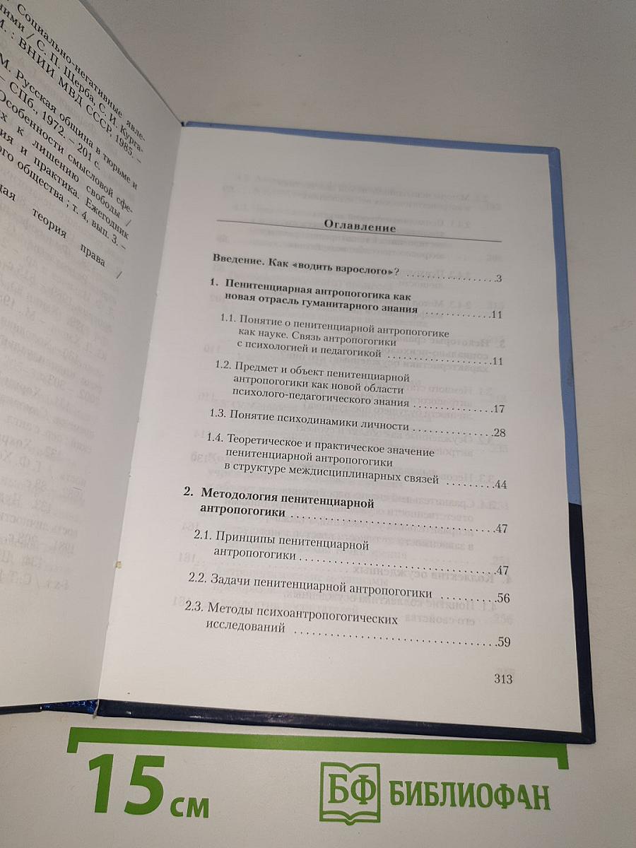 Пенитенциарная антропология: Опыт систематизации психолого-педагогической теории и практики в местах лишения свободы