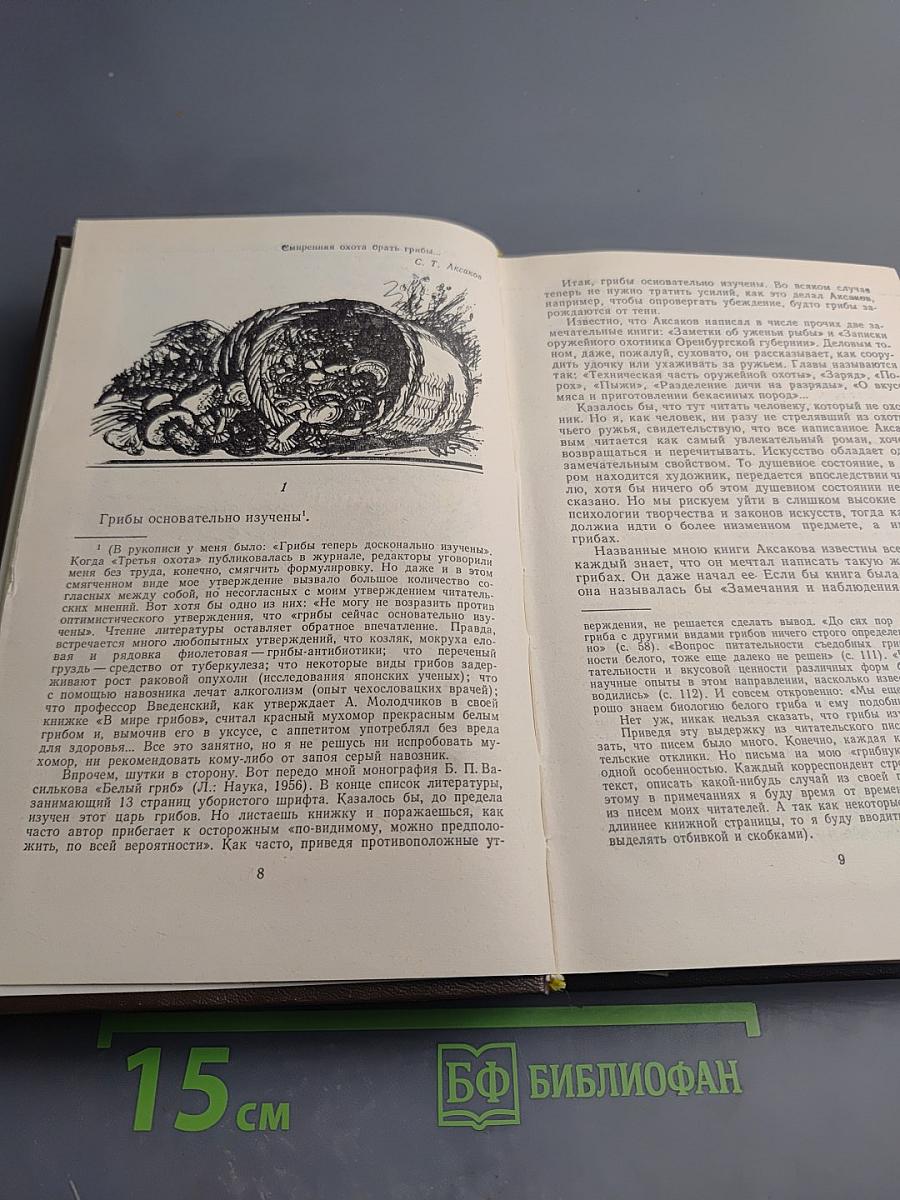 Созерцание чуда