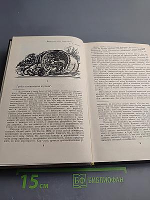 Созерцание чуда