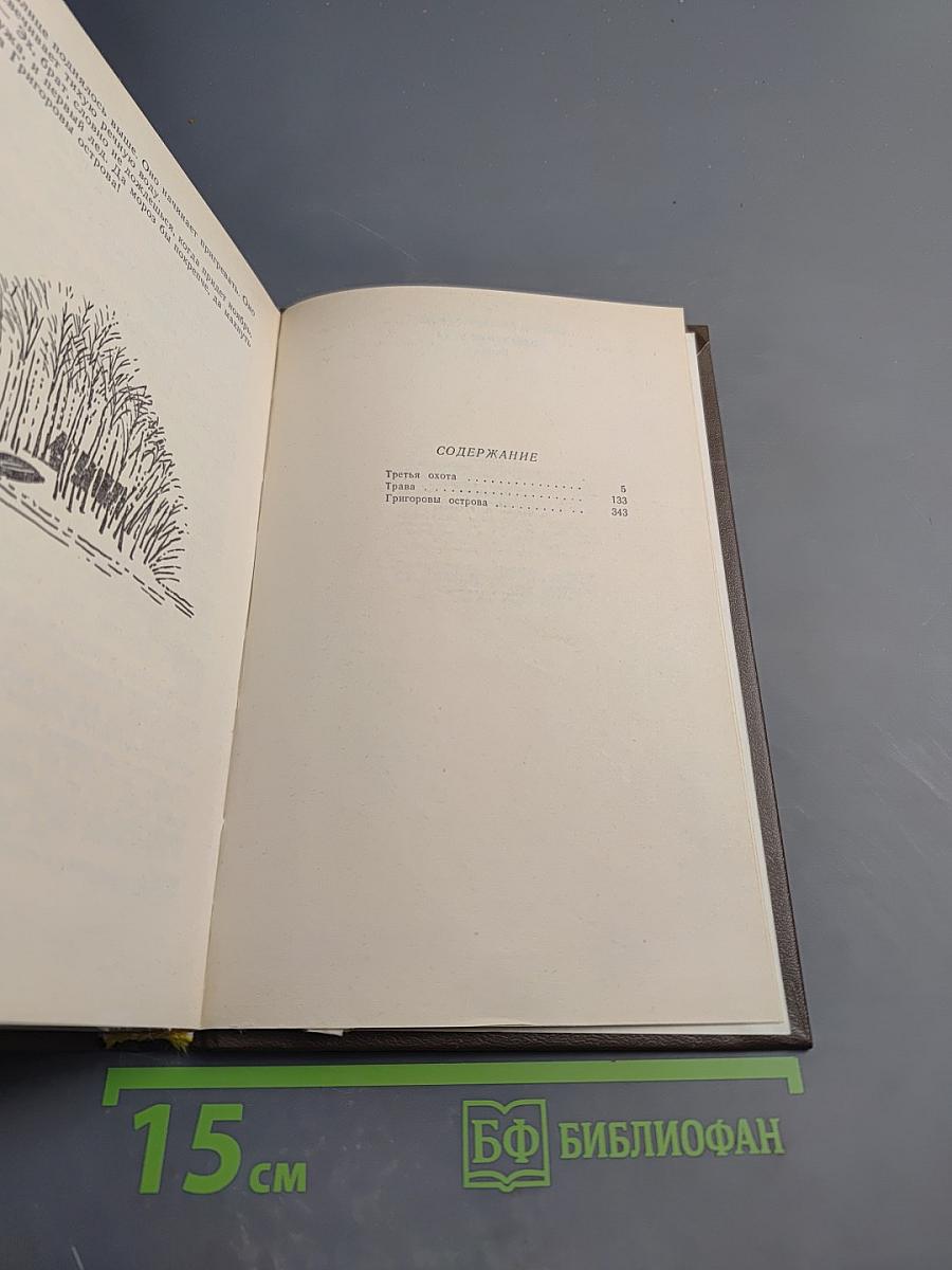 Созерцание чуда