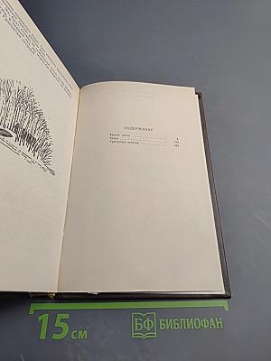 Созерцание чуда