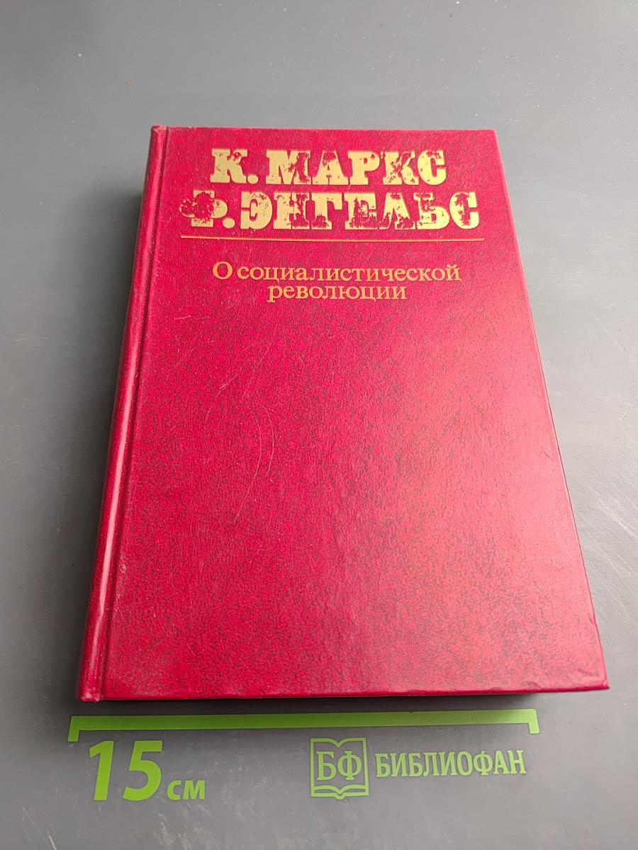 О социалистической революции